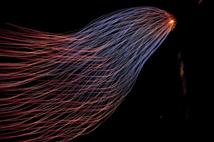 Photo Big Data