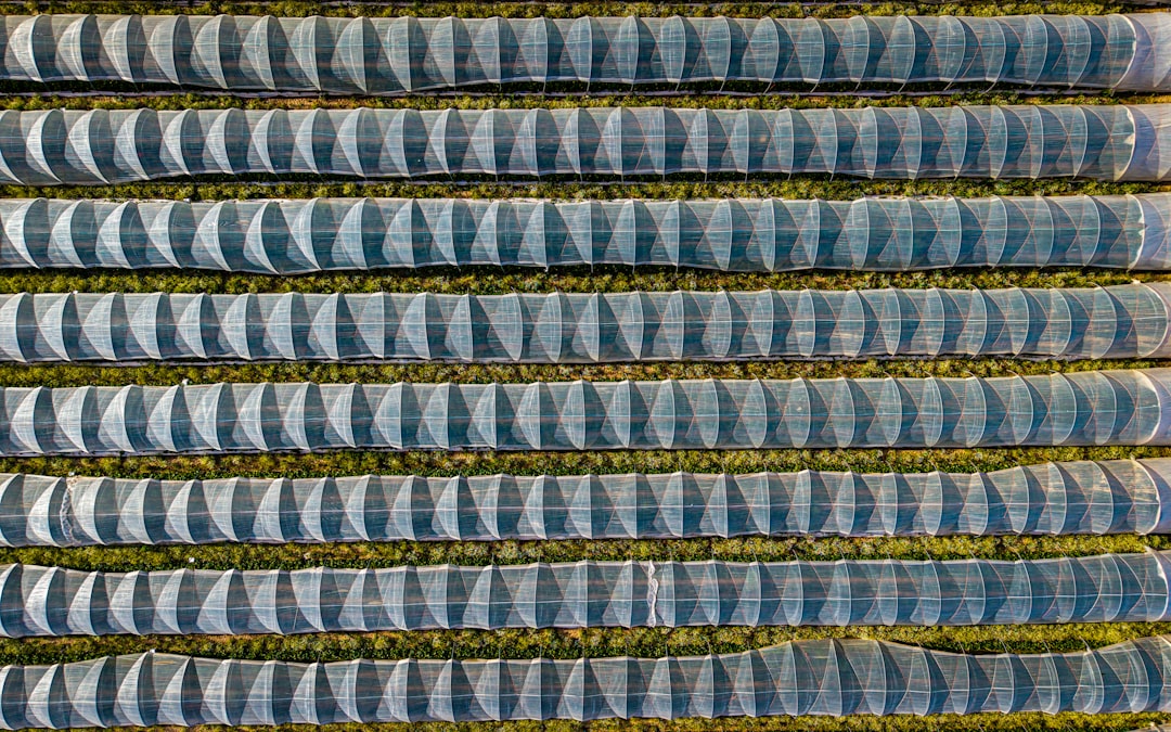Photo supply chain security