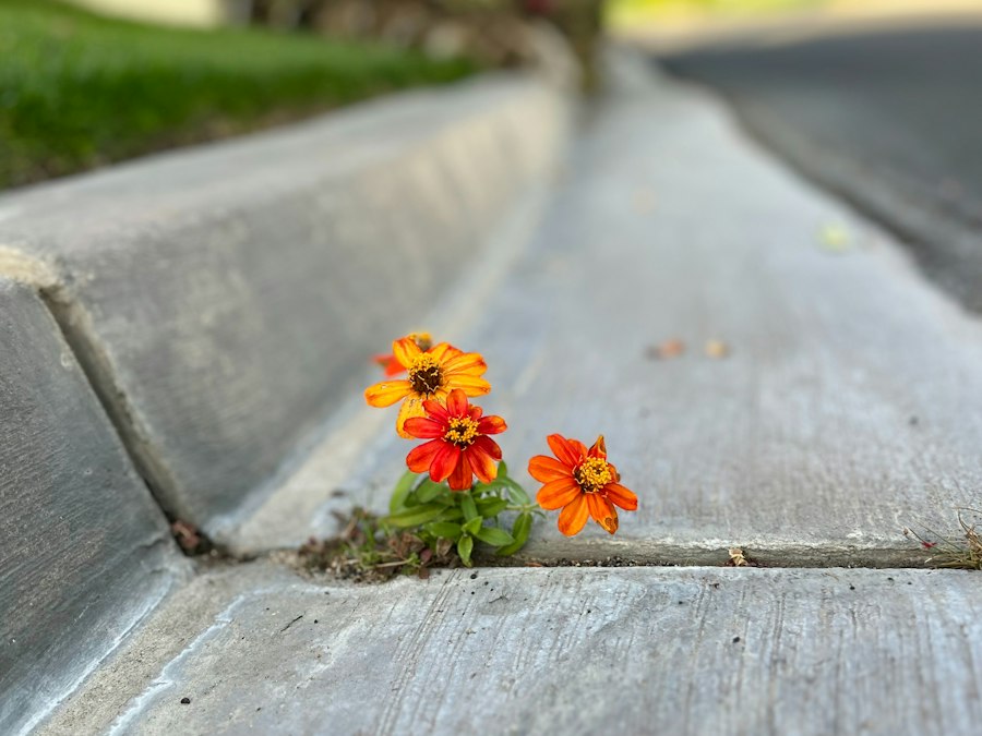 resilience