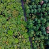 Photo sustainable growth strategy