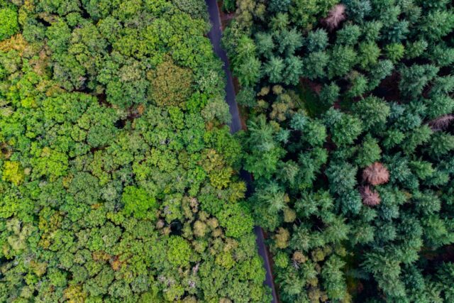 Photo sustainable growth strategy